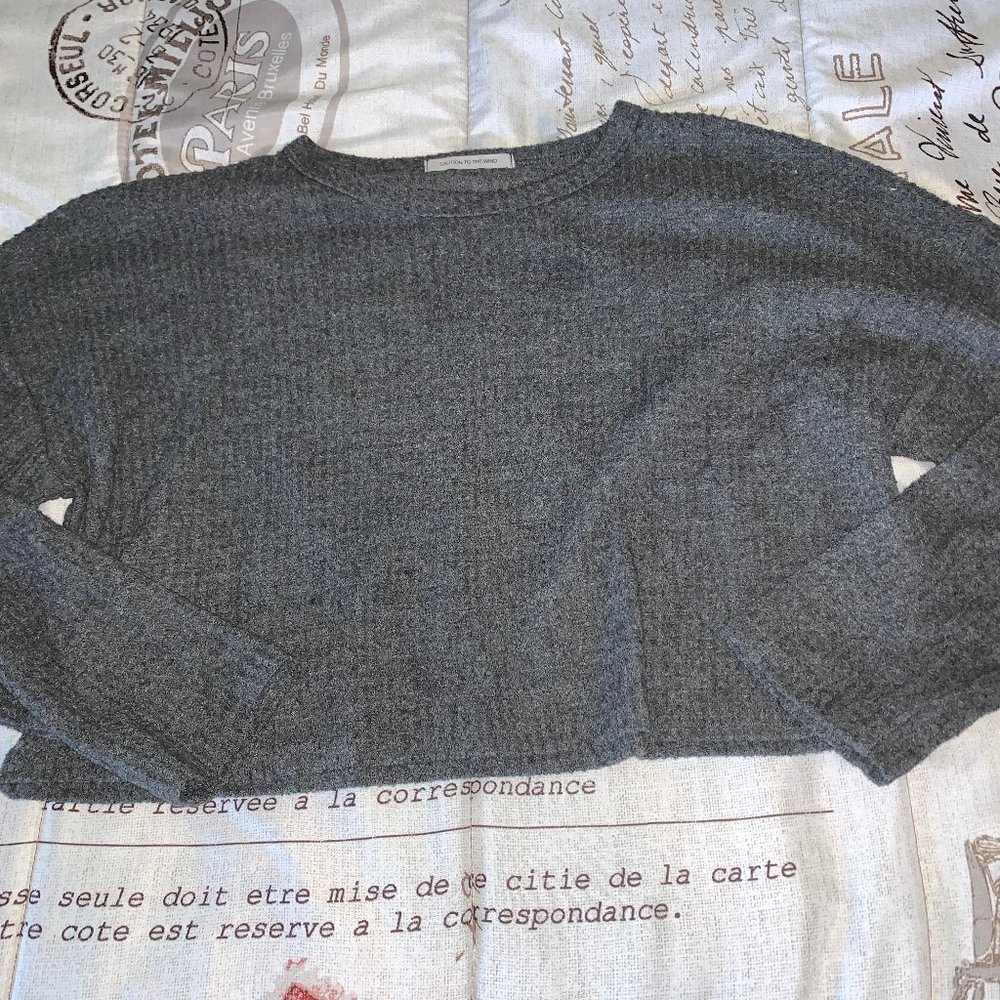 Caution to the Wing Crop Sweater